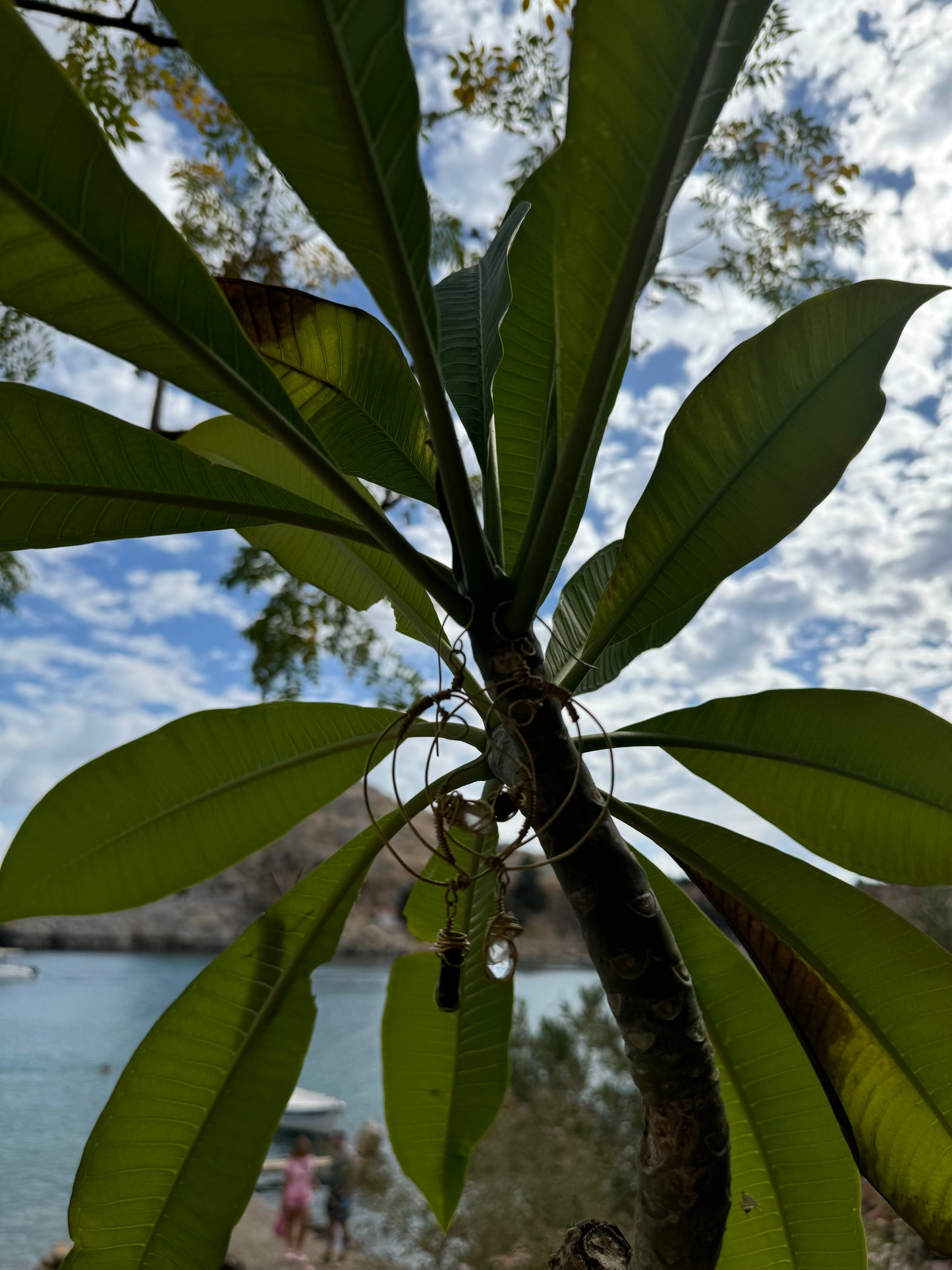 Yin Yang Earrings - Gold